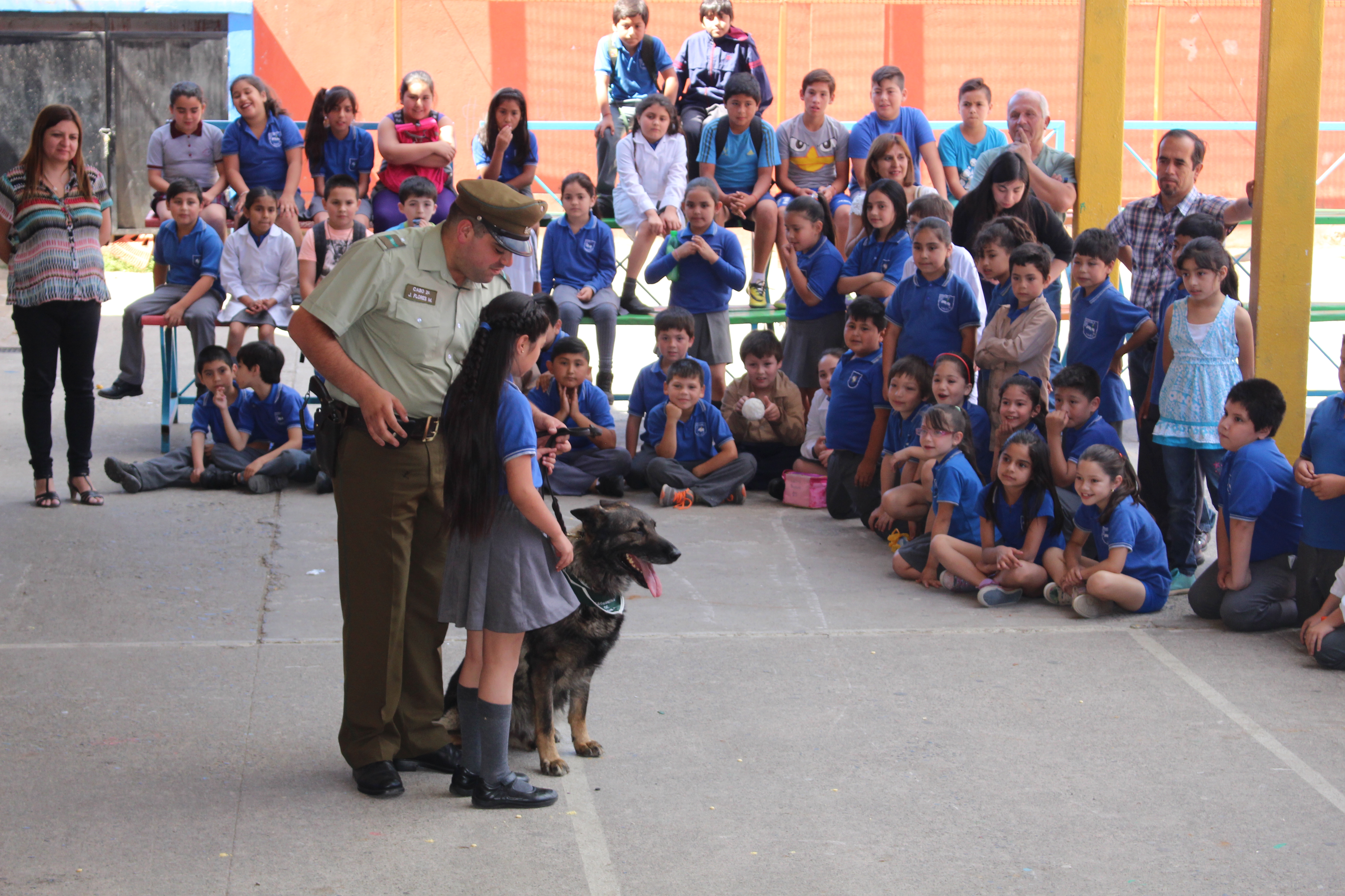 Presentación canina de Carabineros de Chile.