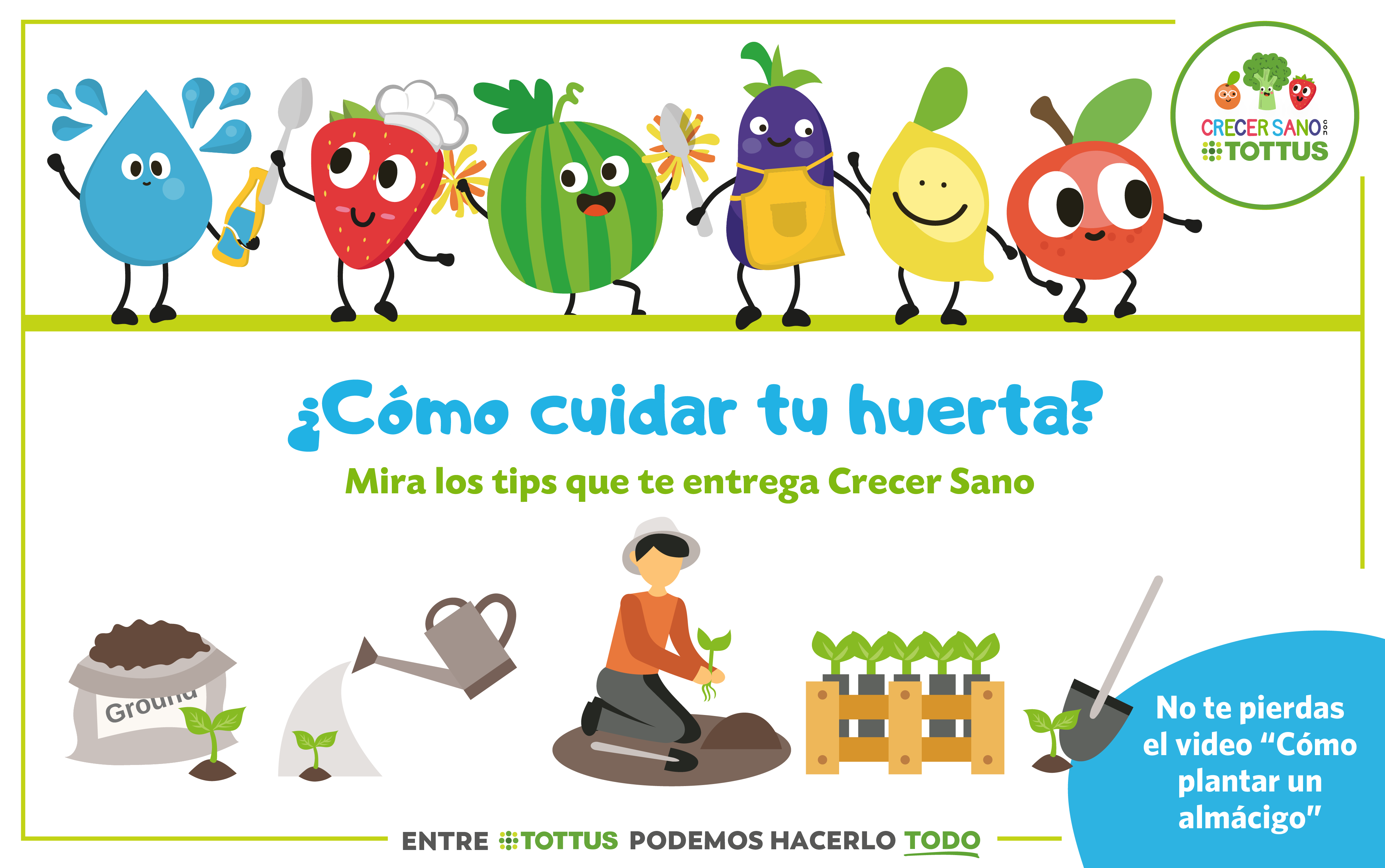 Consejos de Programa Crecer Sano con Tottus