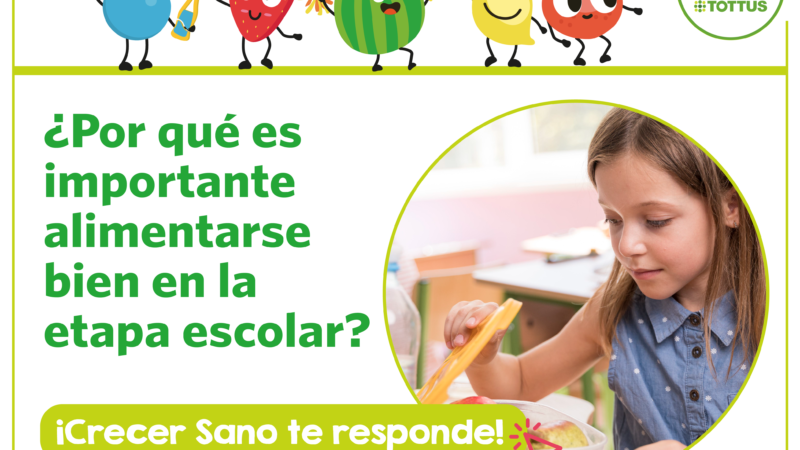 Importancia de la alimentación en la etapa escolar