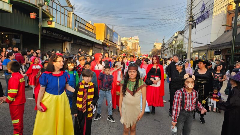 «Fiesta de la Primavera 2024»